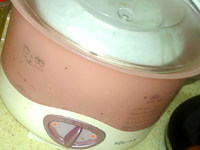 基础白豆沙,扣一个盘子，放在电炖锅隔水炖2-4小时