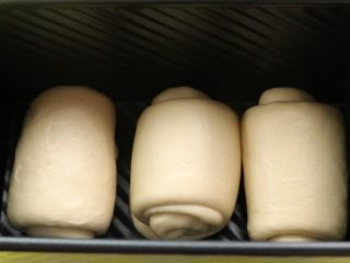 炼乳吐司,摆入模具，放烤箱发酵，烤箱放碗热水确保湿度