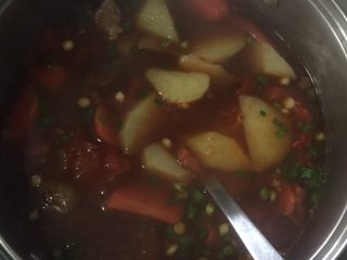 圆土豆+土豆炖牛腩,撒上青蒜末拌匀关火，吃的时候撒点香菜末即可