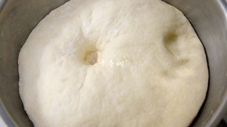 中种法奶香吐司面包,将中种面团置于温暖的环境中，发酵至原来的2-3倍大小，手指戳不陷不塌不回缩，内部布满孔洞。