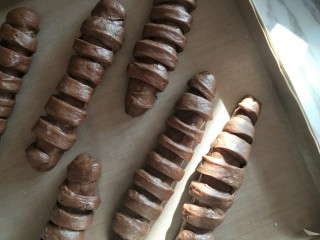 巧克力流心面包卷,所有都卷好后，放入温暖处二次发酵至两倍大。