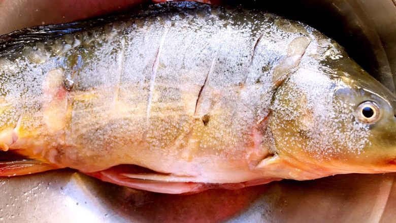 红烧鲤鱼,把鱼洗净后在侧面斜片5刀，在鱼的两侧均匀抹上一些盐，甚至腹腔内也可以弄一点，稍微做点前期的入味