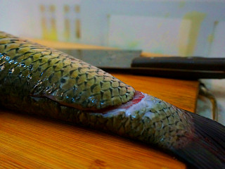 啤酒焖酥鱼,先在鱼的头部下面划一刀，再从尾部贴着主骨处偏开鱼肉