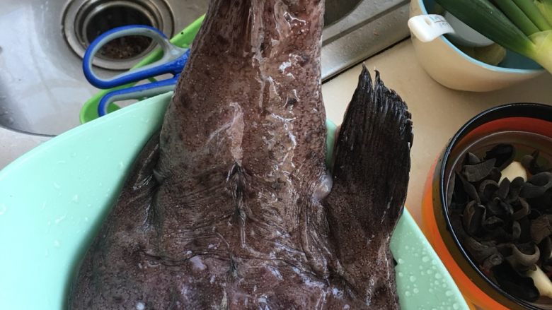  红烧安康鱼,刚买回来的，鱼身很滑，一层胶质