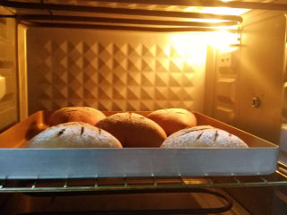 蔴薯软欧,将面包坯放入预热好的烤箱中下层，上火150度，下火180度，烘烤20分钟