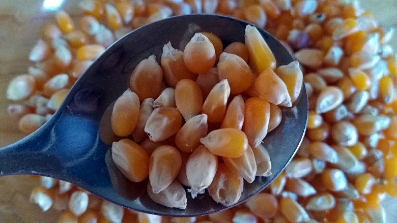 香甜爆米花（无黄油版）,一定要挑选这种又小又圆的玉米粒，如上图
平常的那种是爆不成玉米花的