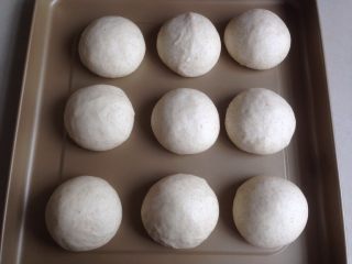 黑豆红枣豆浆小餐包,发酵好的面包胚