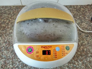 虫草花猪骨汤,放炖盅、盖上盖子、通电、功能按炖汤、定时3.8小时、饮用前放盐