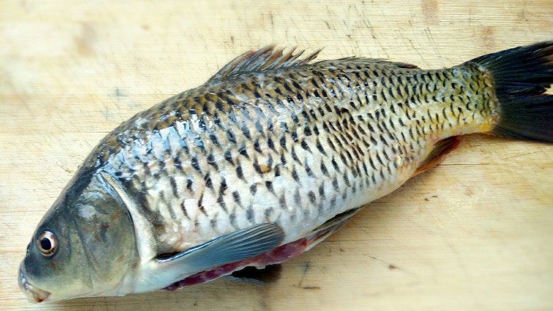 麻辣水煮鱼,准备好一条野生鲤鱼或草鱼