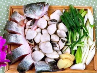 锡纸焗白贝鲈鱼,鲈鱼从背部切开多段  白贝洗干净备用 葱180g切段  姜10g切片