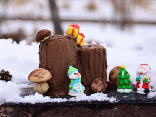 圣诞树桩蛋糕,辉辉是个东北人，一到冬天就会下很大的雪，于是把做好了的树桩蛋糕，带到了外面放在雪地上拍照，