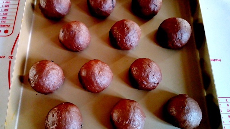巧克力提子软欧包,将饧发后的面团揉成圆形，摆入烤盘。