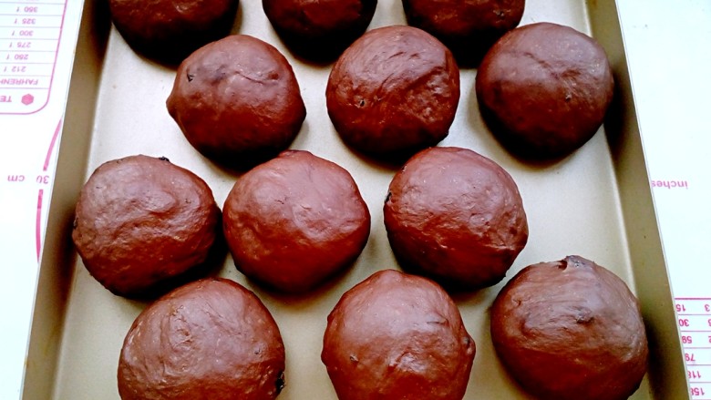 巧克力提子软欧包,放入烤箱，温度38度，湿度80%以上，发酵40分钟左右。
