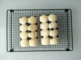 熊猫小面包,烤好后放在烤架上晾凉