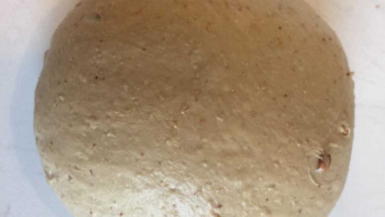 红糖红枣核桃软欧包,揉好的面团表面细腻。