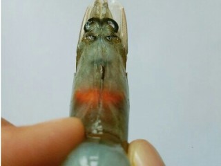 油焖大虾,接着可以看到虾头上有个小尖尖，也就是虾枪，很容易伤着手，也要剪掉
