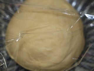 紫菜肉松面包,和面5分钟盖上保鲜膜进行一发