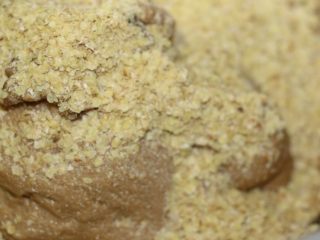 小麦胚芽红糖核桃12连小面包,和面5分钟加入核桃碎和小麦胚芽，和面2分钟就行。