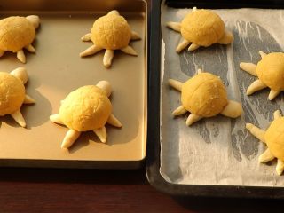 小乌龟菠萝包,分别做乌龟尾巴和腿，然后放烤箱发酵，半小时即可，结束后放入烤箱中层180度20分钟