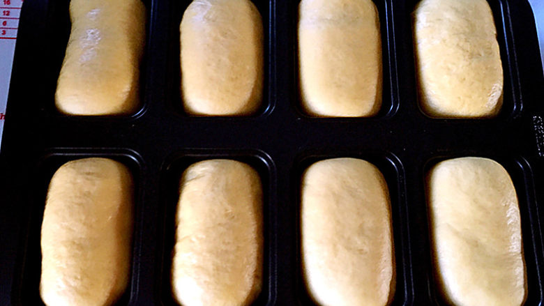 南瓜麻薯红豆面包,放入烤箱中，放置一碗热水，进行第二次发酵。