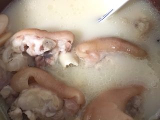 四川+老妈蹄花,把猪蹄连同白芸豆还有汤汁转入紫砂锅中，炖2小时（或者用高压锅，节省时间）