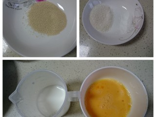 椰子油葱香培根司康（全酵母版本）,首先是原料准备，准备好盐、白砂糖、牛奶、全蛋液、酵母。