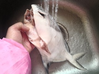 铁锅鲳鳊,用清水冲洗。