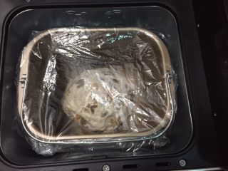 全麦坚果软欧,放入面饼桶，盖上保鲜膜，打开发酵功能1小时左右
（室温发酵更好，时间会长一点）