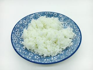 什锦炒米饭,米饭一碗。