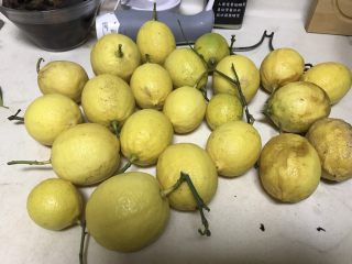 冰糖柠檬膏,朋友从四川安岳柠檬之乡带回来的自家果园无公害柠檬。