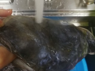 双味鱼头,半小时后把鱼头上的盐冲洗干净，里外都冲洗干净，这样鱼头蒸出来没有腥味哦