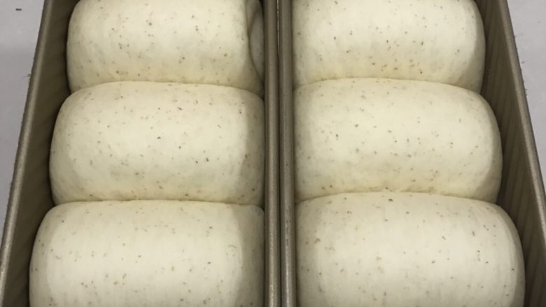 烫种全麦吐司,送进发酵箱，里面放上一碗热水制造湿度，热水在50度左右一点，温度调节在33-34 度，进行二发。
