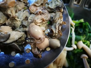 牡蛎菠菜,牡蛎焯水捞出