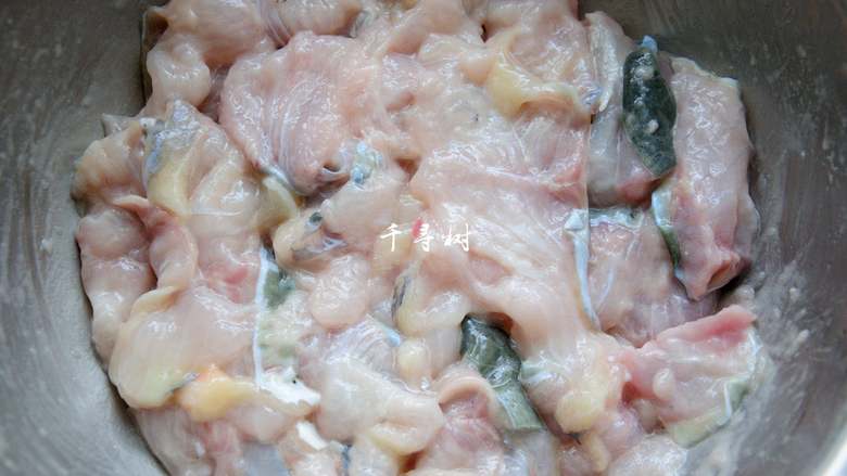 快手酸菜鱼 鱼肉鲜嫩酸菜爽口的宴客硬菜, 一直抓到上浆，腌制待用。