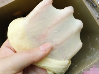 淡奶油小面包,揉出手套膜，放到温暖的地方进行发酵，大约1小时