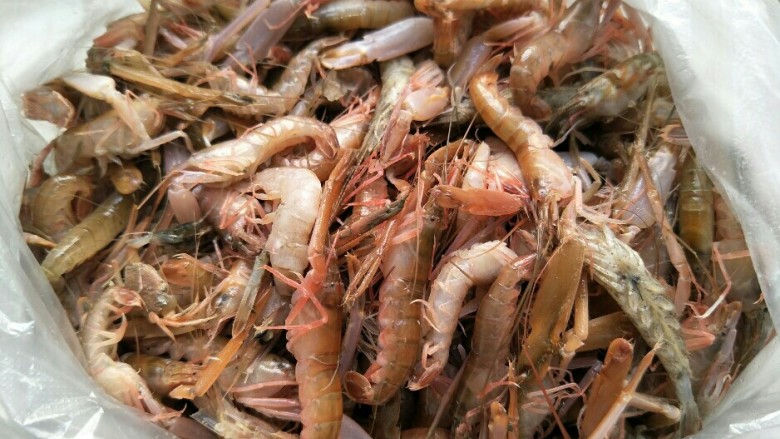 原味鼓虾,这是一斤的鼓虾。