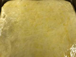 香橙面包,完成二次发酵后表面刷蛋液。