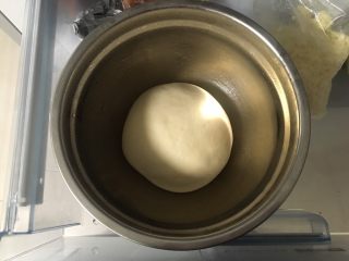 日式牛奶面包卷,17小时以后取出中种面团