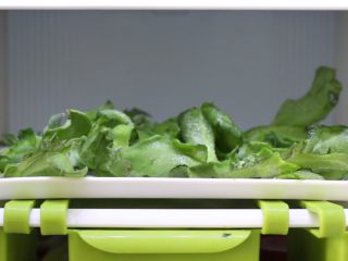 百香果冰草沙拉, 处理好的冰草放入冰箱冷藏备用。