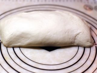 生煎包,制作好的面团盖保鲜膜29度醒发半小时。