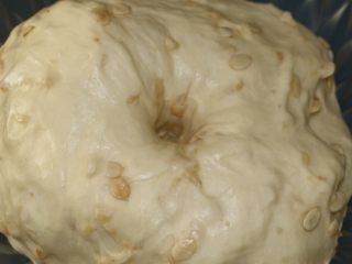 无水果仁面包,面团发酵至原来的2-2.5倍大，手指沾粉戳孔不塌陷不回缩即表示发酵完成