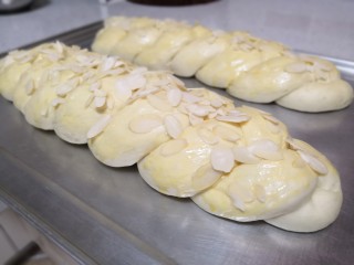 奶香辫子面包,发酵好的面团表面刷上蛋液，撒上杏仁片。