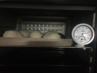 全麦奶酪花球,放烤箱发酵，底层烤盘放开水加温，15分钟换一次（如有发酵箱，严格要求是35度湿度80）