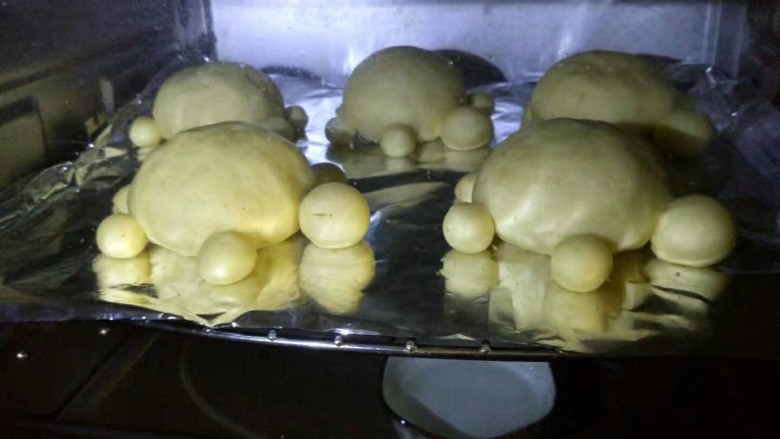 
小乌龟面包,放入烤箱发酵40分钟，烤箱里放一小碗水，发酵至原来的2倍大取出，预热烤箱170度。
