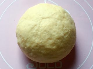 葱油饼,然后揉成面团，盖上保鲜膜饧发半小时。