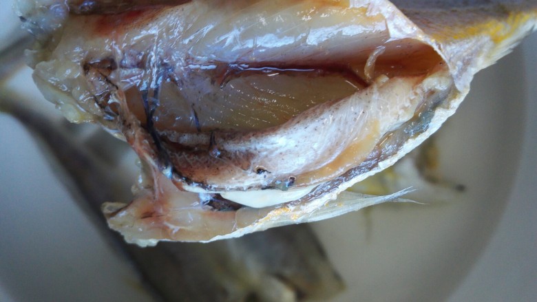 黄鱼内脏识别图片