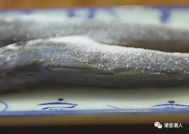 潮汕巴浪鱼饭,❥ 接着撒上适量的盐，抹均匀，放置一旁腌制，待用
