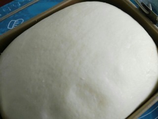 罗宋甜面包,滚圆后25～28度盖保鲜膜进行基础发酵。