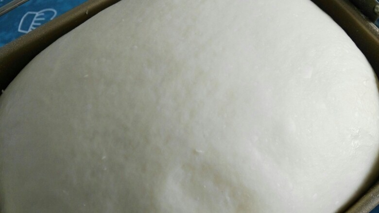 罗宋甜面包,滚圆后25～28度盖保鲜膜进行基础发酵。