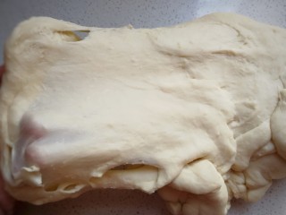 中种酸奶排包,然后开始揉面，揉面至能拉出这种粗膜状态；